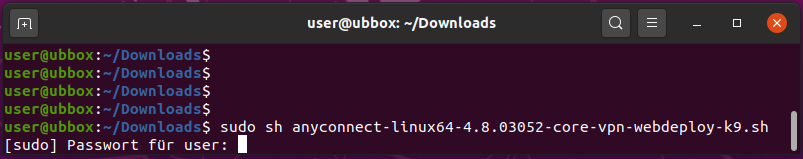 Downloadfenster von Linux.