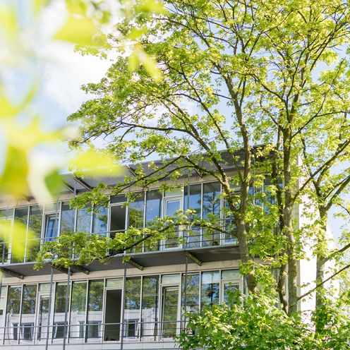 Werderstraße im Frühling Werderstraße im Frühling