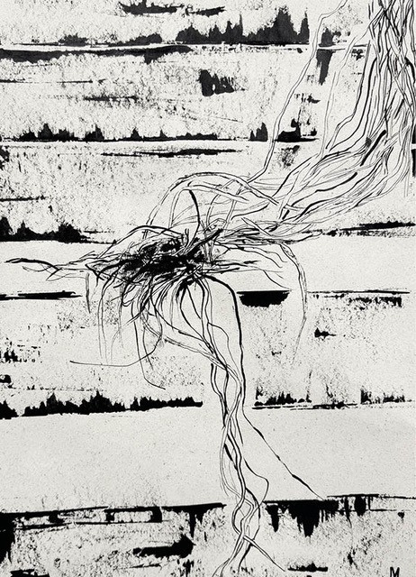 Ausstellung „Zeichnen mit Tusche – Zoom In/Out“, Zeichnung von Matilda Knogge (Foto: HSB)