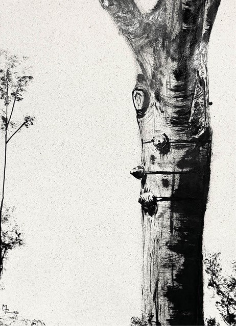 Ausstellung „Zeichnen mit Tusche – Zoom In/Out“, Zeichnung von Marius Reichhart (Foto: HSB)