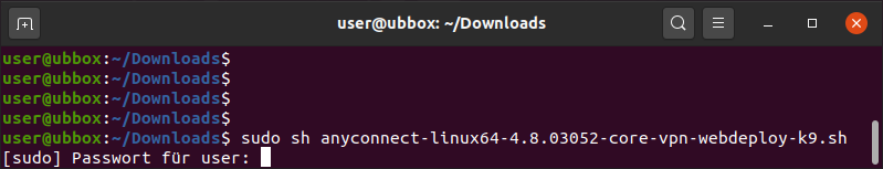 Downloadfenster von Linux.