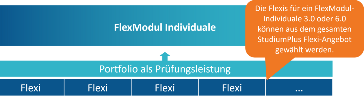 FlexModul Individuale FlexModul Individuale Aufbau