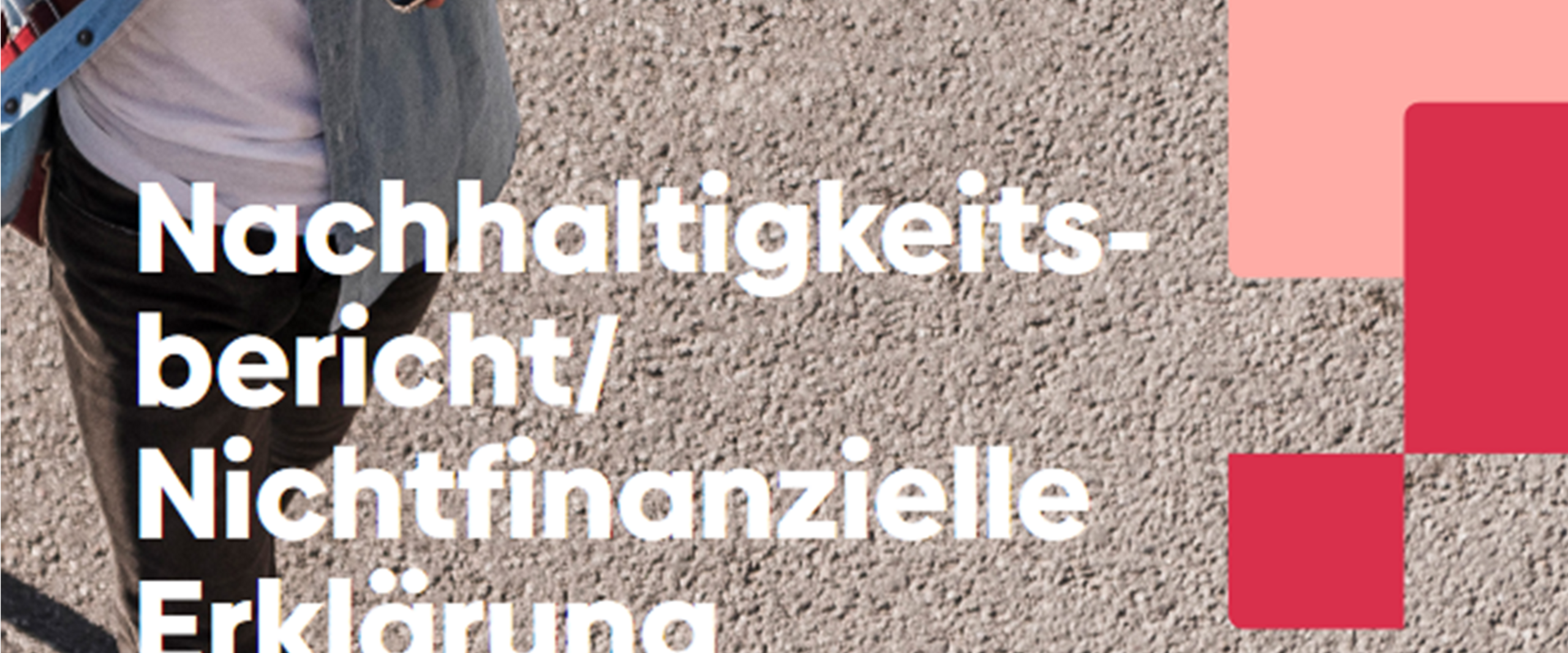 Prof. Schlemminger_November_2023 Prof. Schlemminger hält einen Vortrag zum Nachhaltigkeitsmanagment und -reporting