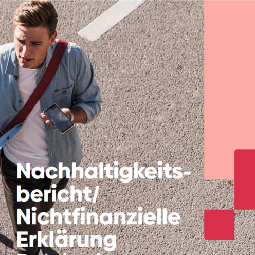 Prof. Schlemminger hält einen Vortrag zum Nachhaltigkeitsmanagment und -reporting