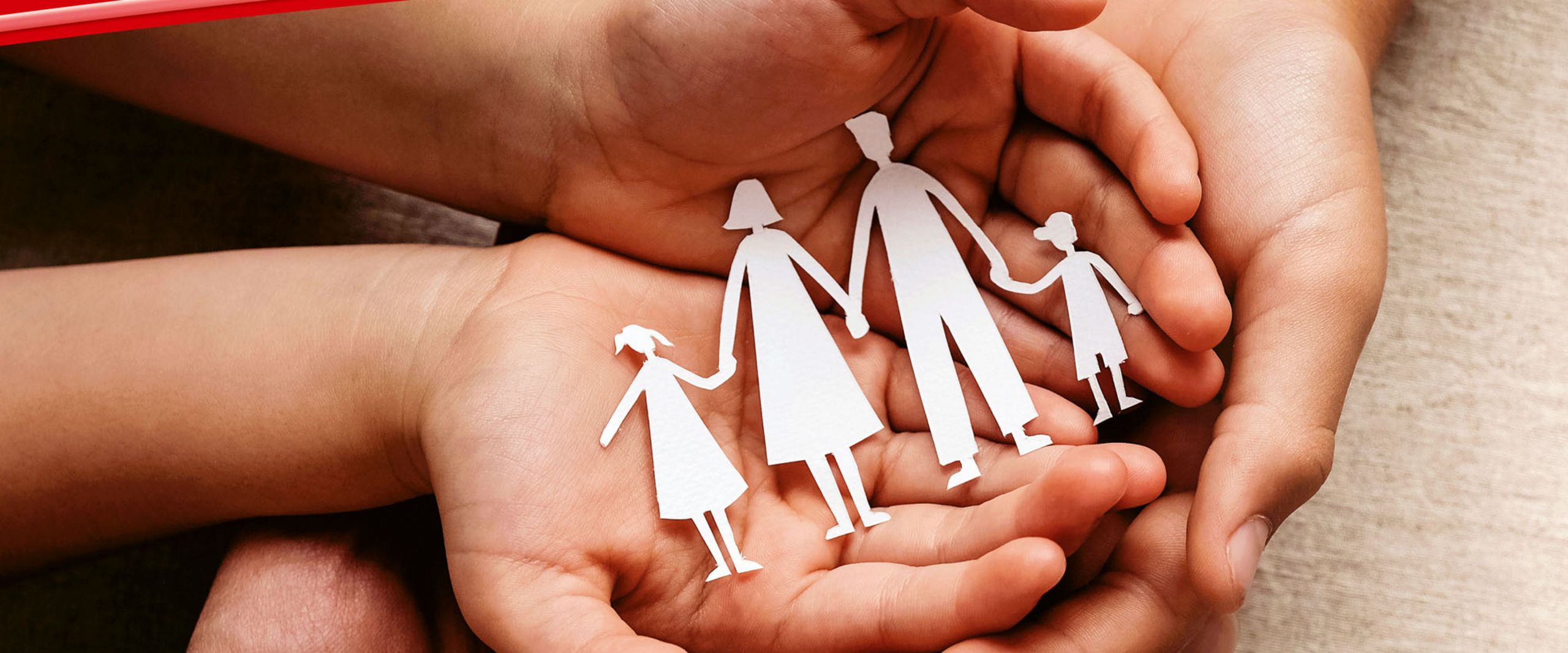 Buchcover mit Schrift und Bild