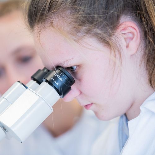 Eine Studentin in Laborkittel blickt in ein Mikroskop.