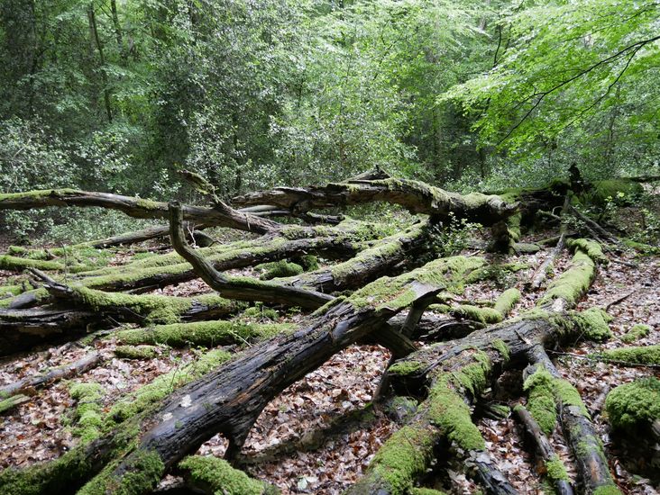 Exkursion nach Jever und umzu 