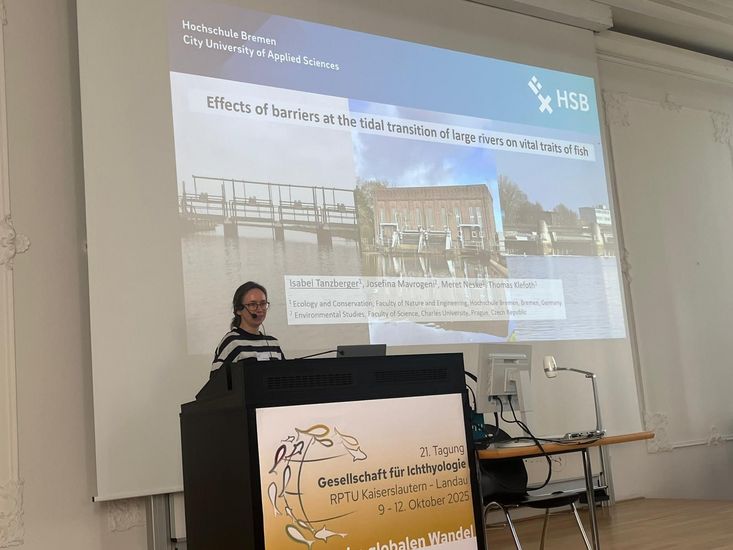 Isabel Tanzberger vor Publikum und einer Projektionswand während ihres Vortrags bei der Jahrestagung 2025 der Gesellschaft für Ichthyologie (GFI), für den sie ausgezeichnet wurde.