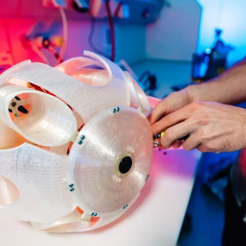 InnoWi Erfindung Exoskelett Drohne