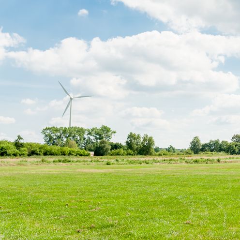 Eine Wiese an einem sonnigen Tag. Hinten rechts steht eine Person.