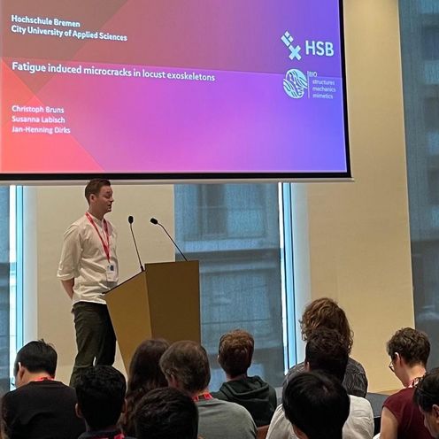 2025_SEB_talk_Bruns Christoph Bruns bei seinem Vortrag bei der SEB-Tagung. Er steht vor der Projektionsfläche seiner Präsentation.