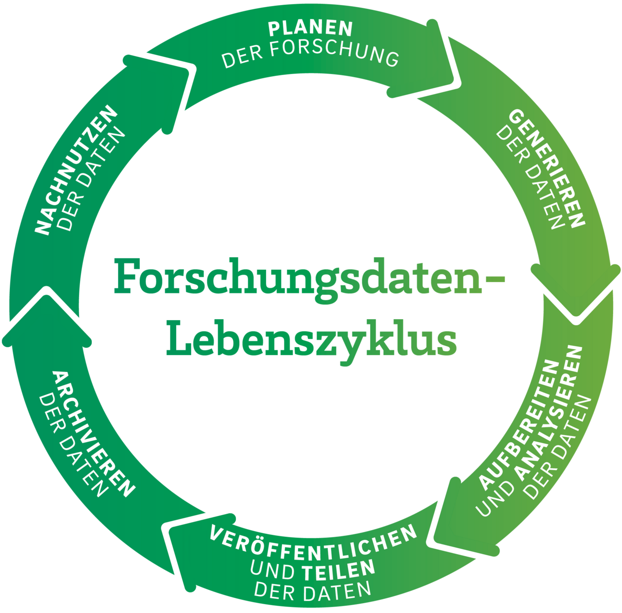 Forschungsdatenlebenszyklus mit 6 Phasen