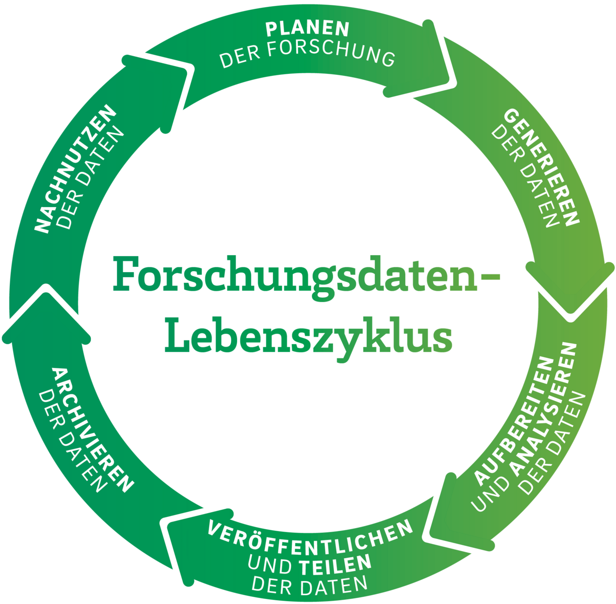 Forschungsdatenlebenszyklus mit 6 Phasen