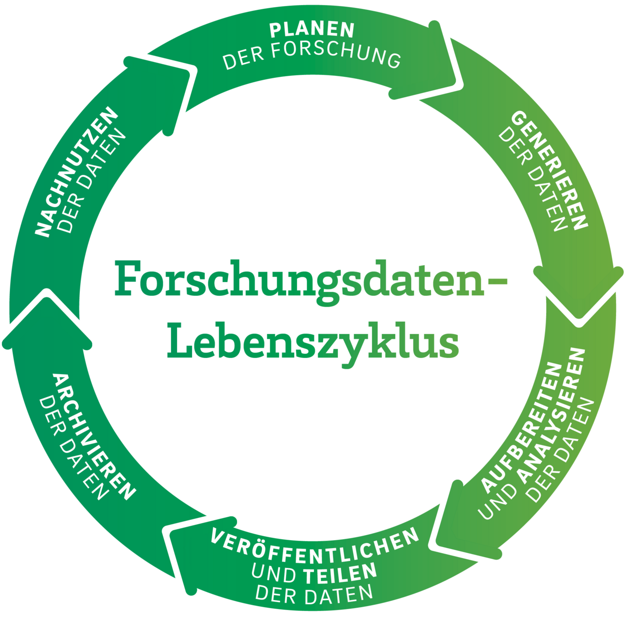 Forschungsdatenlebenszyklus mit 6 Phasen