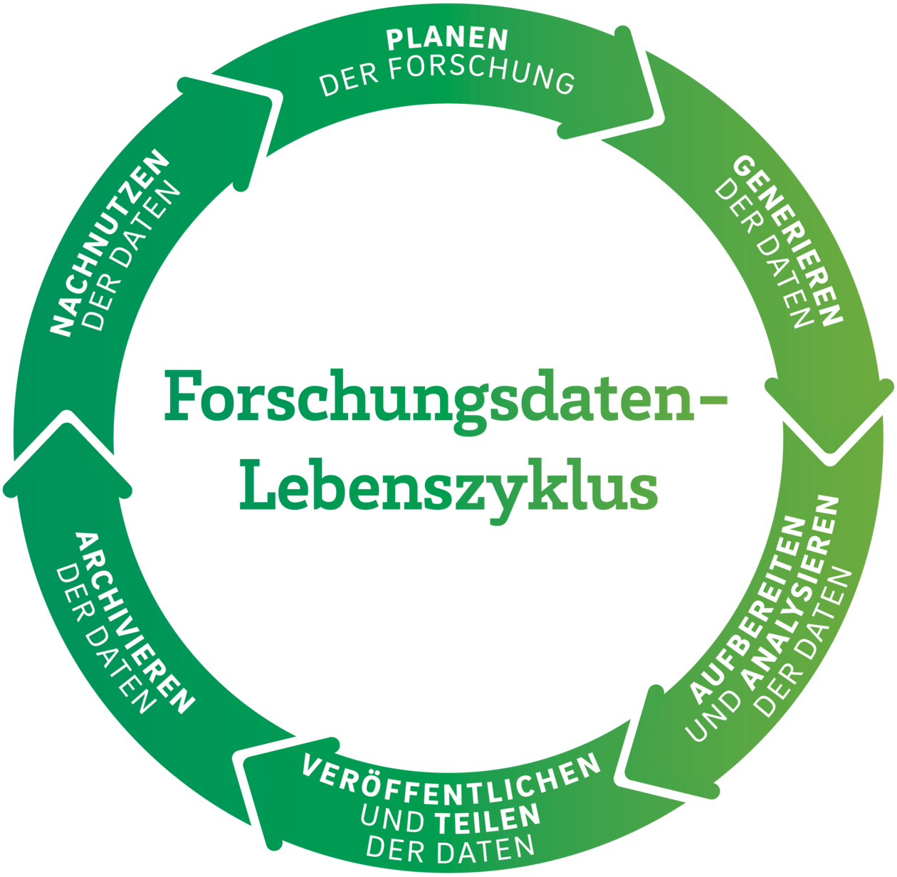 Forschungsdatenlebenszyklus mit 6 Phasen