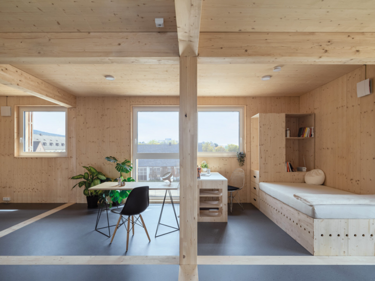 Helles Zimmer mit Wänden, Decke und Möbeln aus Holz. Im Raum stehen ein Bett, ein Schreibtisch mit Stuhl und eine kleine Sitzecke mit Tisch und schwarzen Stühlen. Große Fenster lassen viel Tageslicht hinein, Pflanzen sorgen für eine natürliche Atmosphäre.