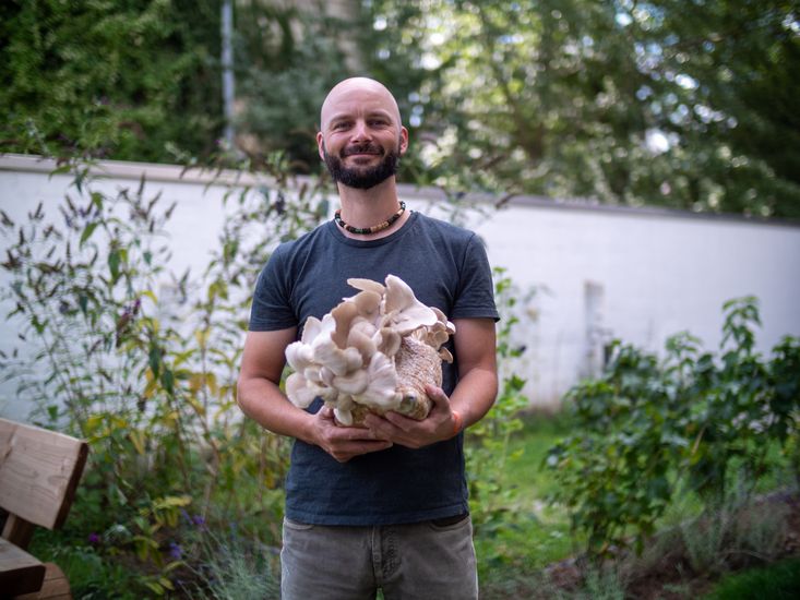 Mann h&auml;lt gro&szlig;en Speisepilz in den H&auml;nden