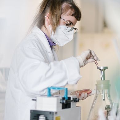 Studierende bei einem Versuch im Hygienepraktikum