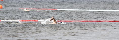 Schwimmer beim Werdersee Swim & Run 2020.