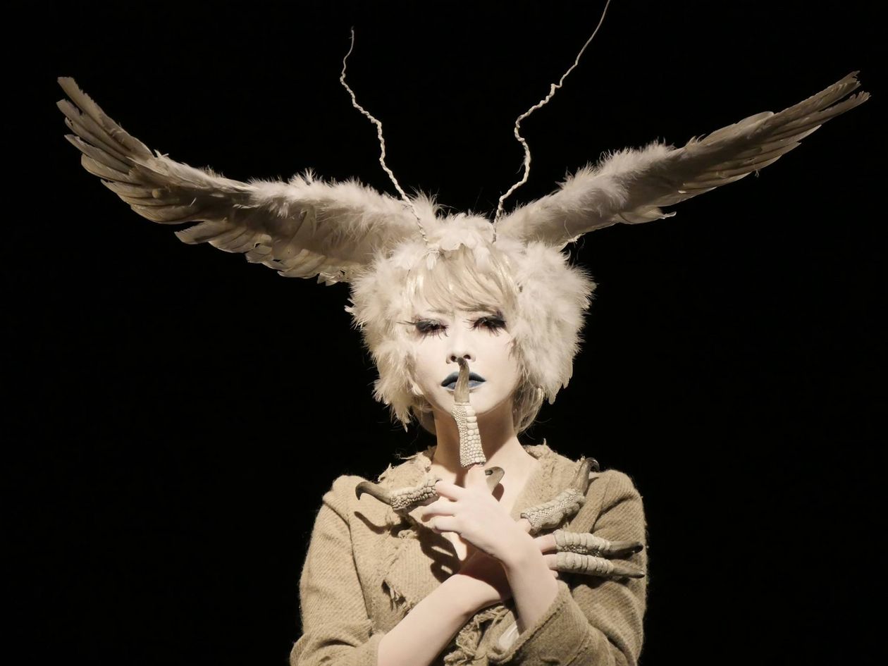 Hoppe Fukiko in the Punk Opera „Alchemy of Punk“, 2016, © Aneta Panek Hoppe Fukiko in the Punk Opera „Alchemy of Punk“, 2016, © Aneta Panek