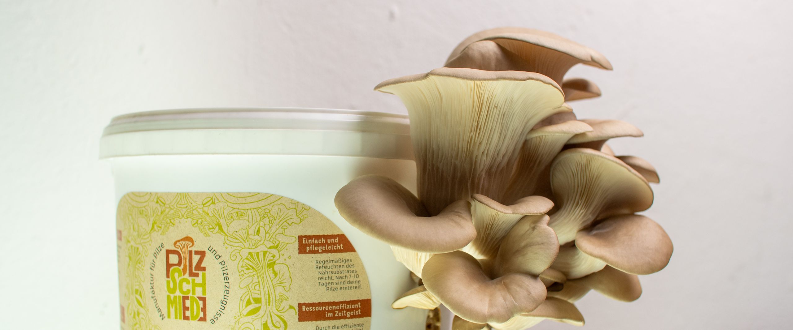 Wei&szlig;er Eimer, aus dem ein Pilz w&auml;chst