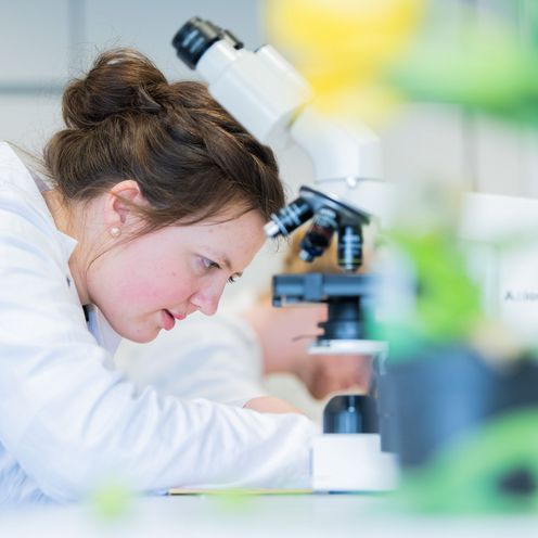 Studentin im Labor mit konzentriertem Blick auf das vorliegende Experiment.