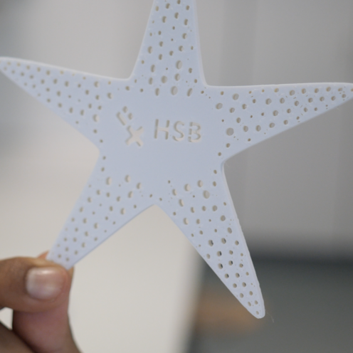 Auf dem Bild ist ein wei&szlig;er Seestern zu sehen. Es ist kein echter Seestern, sondern besteht aus dem neu erfundenen Material. Der Seestern ist wei&szlig;, in der Mitte ist das HSB Logo zusehen und bei den einzelnen Zacken sind L&ouml;cher eingestanzt. 