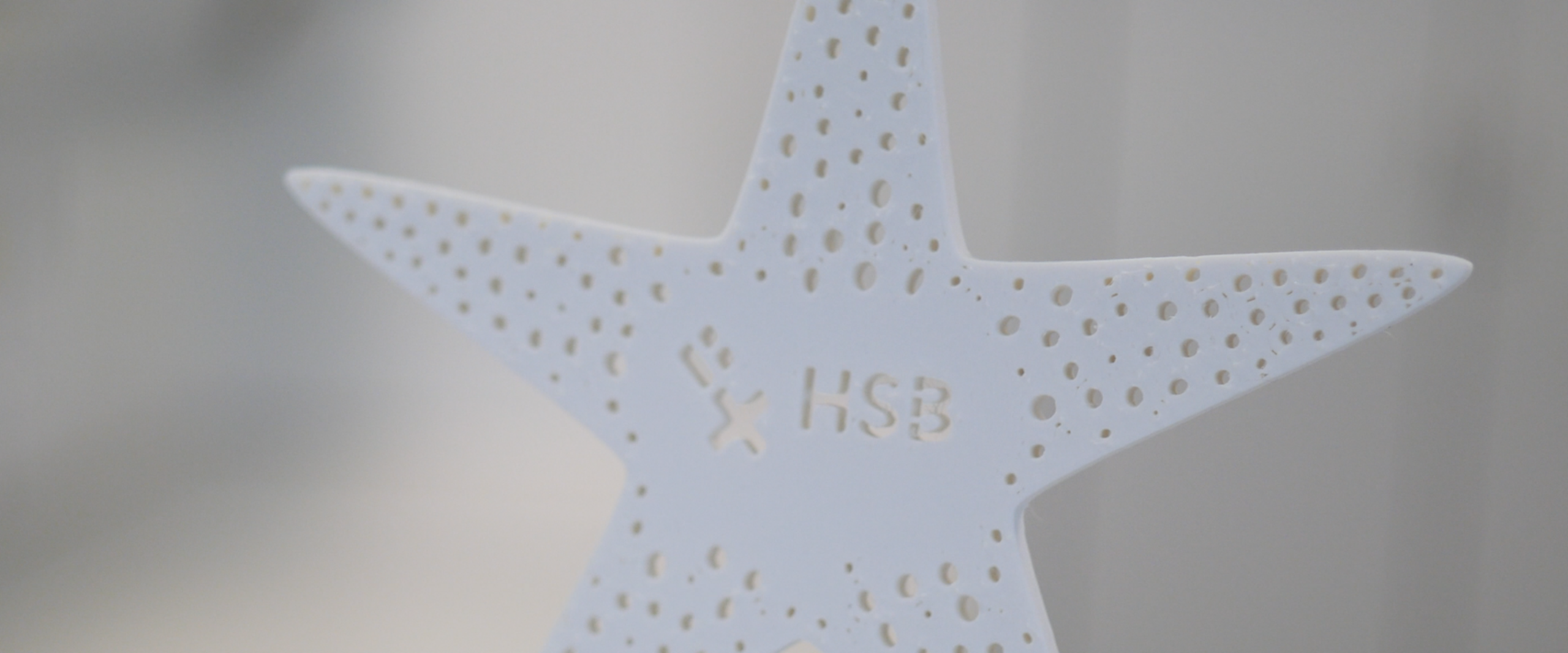 Auf dem Bild ist ein weißer Seestern zu sehen. Es ist kein echter Seestern, sondern besteht aus dem neu erfundenen Material. Der Seestern ist weiß, in der Mitte ist das HSB Logo zusehen und bei den einzelnen Zacken sind Löcher eingestanzt. 