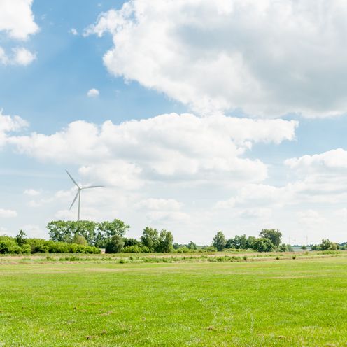 Eine gr&uuml;ne Wiese mit blauem Himmel, welcher teilweise bew&ouml;lkt ist.