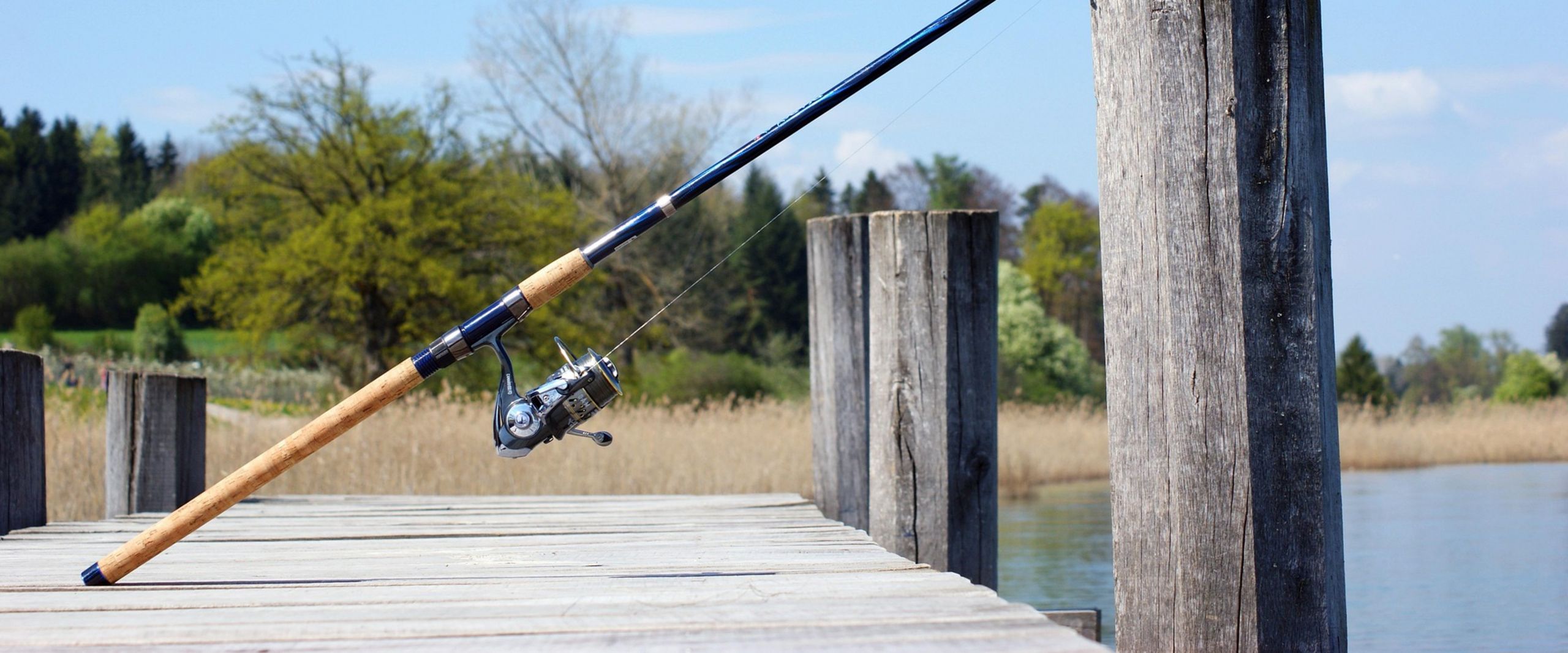 Auf einem Holzsteg an einem See lehnt eine Angelrute mit Kork-Griff an einem Holzpfahl in der Sonne. Im Hintergrund ist gelbes Schilfgras, grüne Büsche und Bäume und blauer Himmel mit kleinen weißen Wölkchen zu sehen.