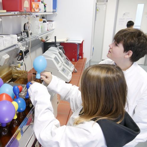 Kinder im Labor der HSB