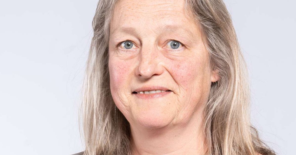 Dipl.-Pd. Silke Ermlich - HSB Hochschule Bremen