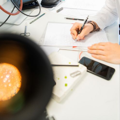 Bionik im Labor  Studierende macht Notizen im Labor