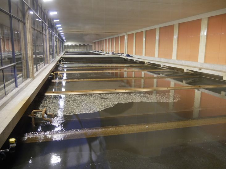 Im Wasserwerk Beelitzhof gewannen die Studierenden Einblicke in die Trinkwasseraufbereitung von der Wassergewinnung über die Filtration bis hin zur Verteilung im Versorgungsnetz. Foto: HSB / Antje Clasen