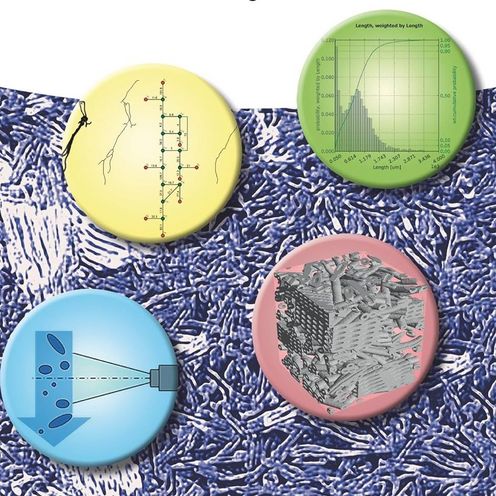Plinke, B., Fischer, S., Fischer, H., Graupner, N. und M&uuml;ssig, J., Hrsg. (2023) Charakterisierung von Holz- und Naturfasern: Eine praxisbezogene Einf&uuml;hrung f&uuml;r die Werkstoffentwicklung. 