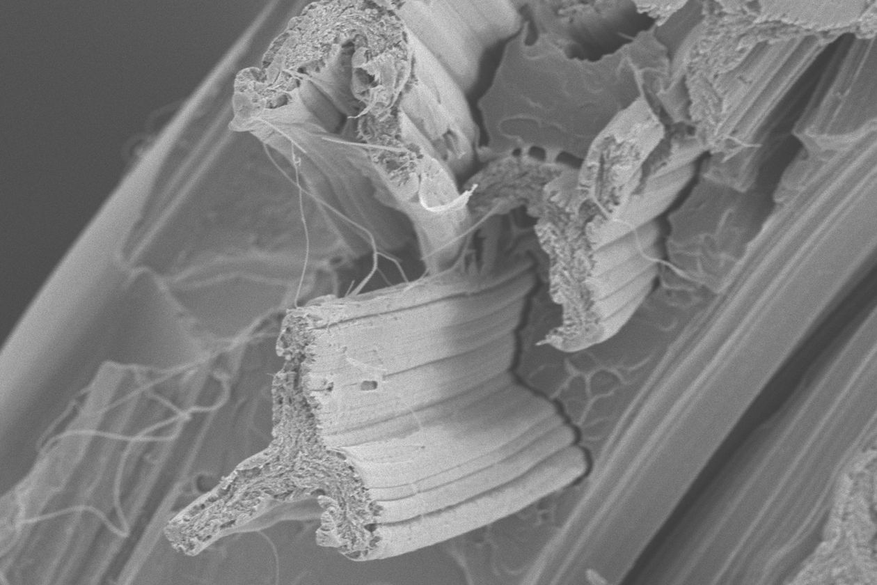 Schwarz-Wei&szlig;-Aufnahme 