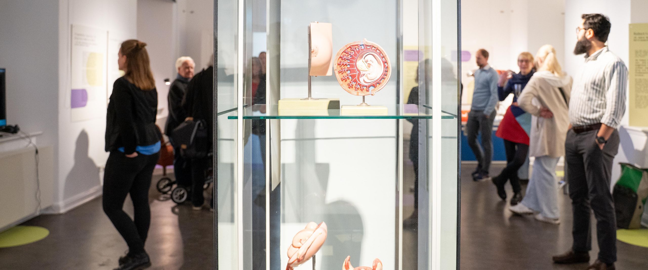 Ausstellung HdW 2025 Vitrine mit Ausstellungsstücken. Im Hintergrund sieht man leute unscharf.