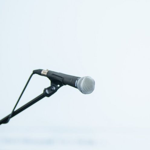 Ein Mikrofon.