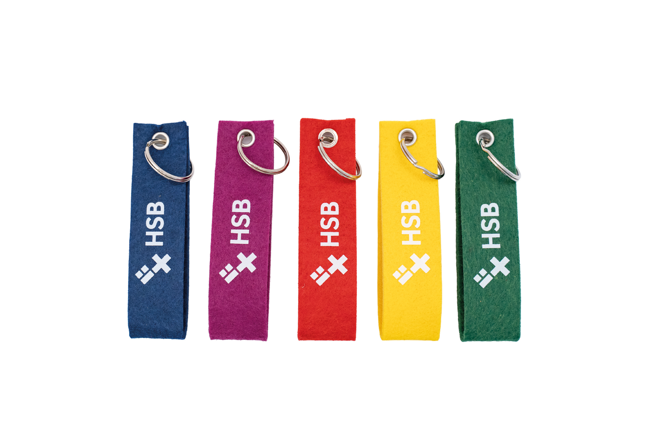 Auf dem Bild sind Schl&uuml;sselanh&auml;nger aus Filz zusehen. Sie sind rechteckig und haben das HSB Logo aufgedruckt. Es sind f&uuml;nf Schl&uuml;sselanh&auml;nger in den Farben blau, lila, rot, gelb und gr&uuml;n. 