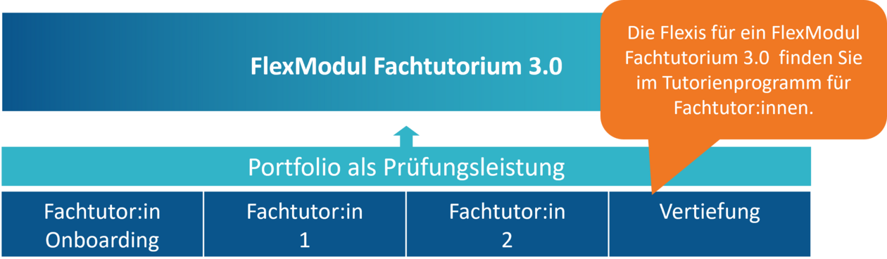 FlexModul Fachtutor:in FlexModul Fachtutor:in