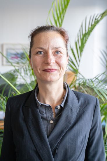 Prof. Dr. Julian Wahren - Portr&auml;t 