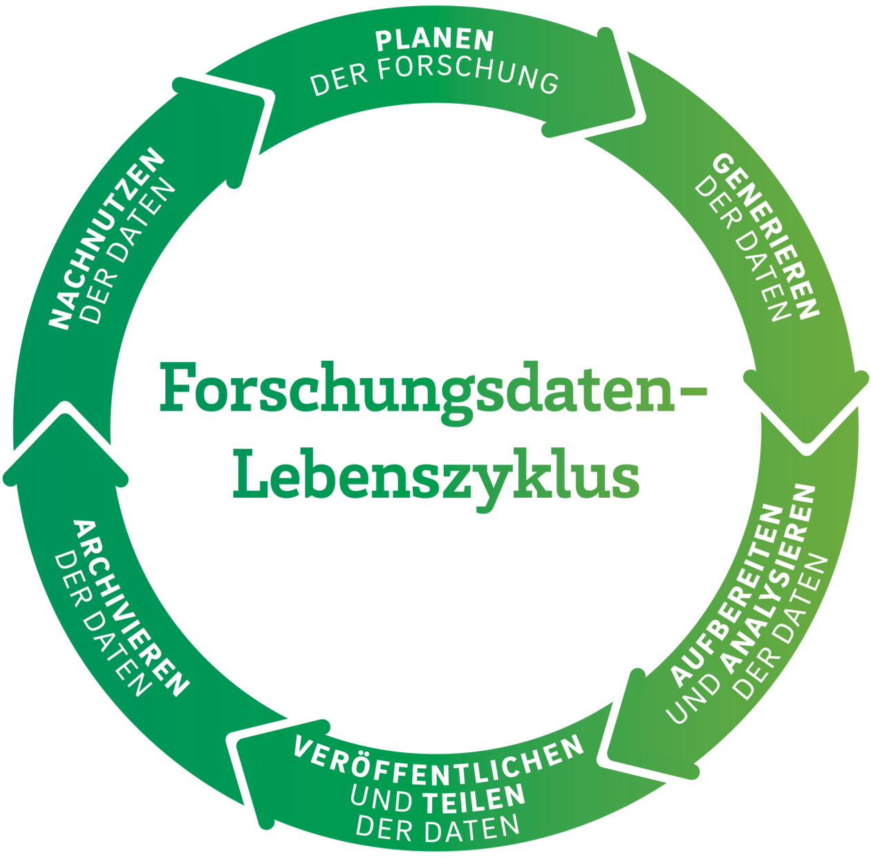 Forschungsdatenlebenszyklus mit 6 Phasen