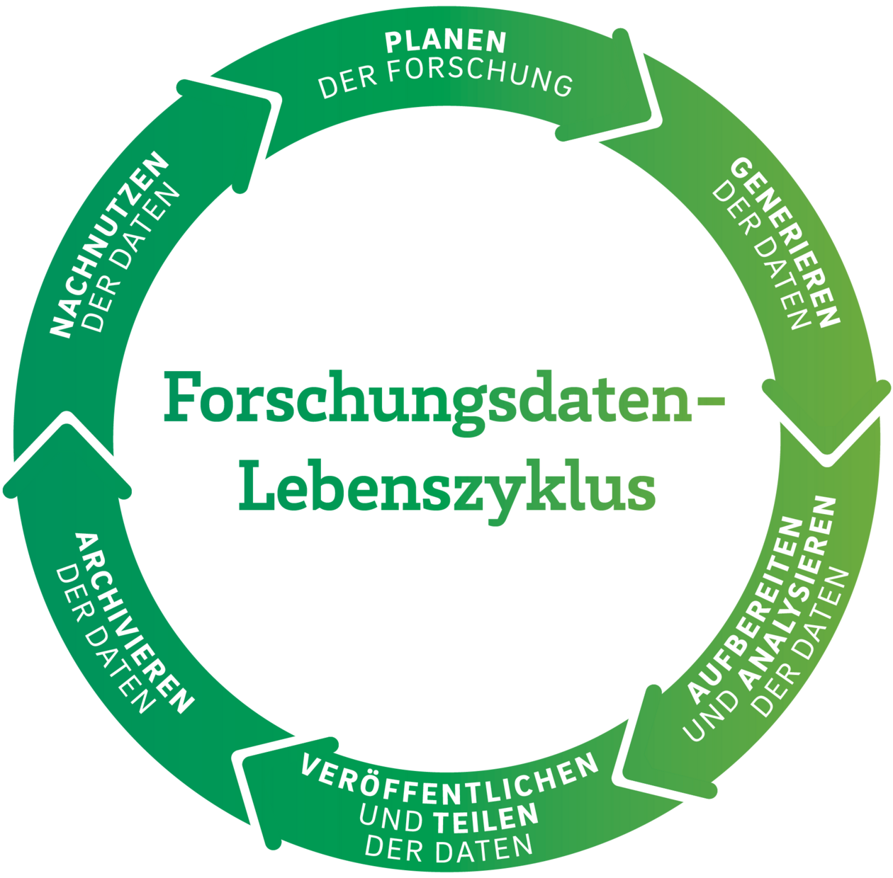 Forschungsdatenlebenszyklus mit 6 Phasen