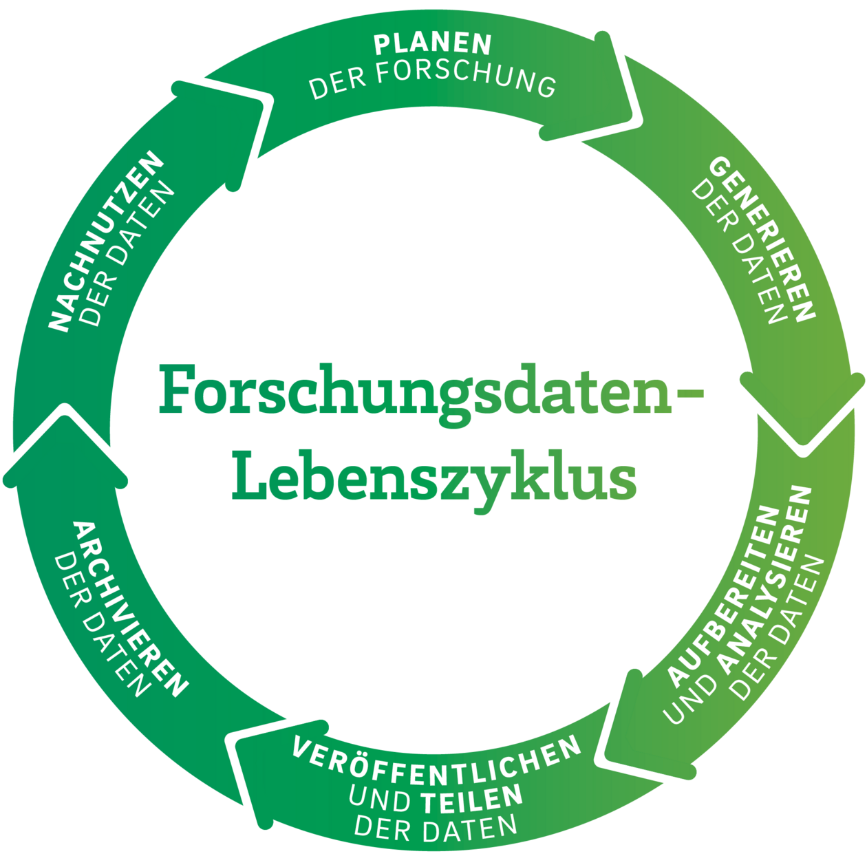 Forschungsdatenlebenszyklus mit 6 Phasen