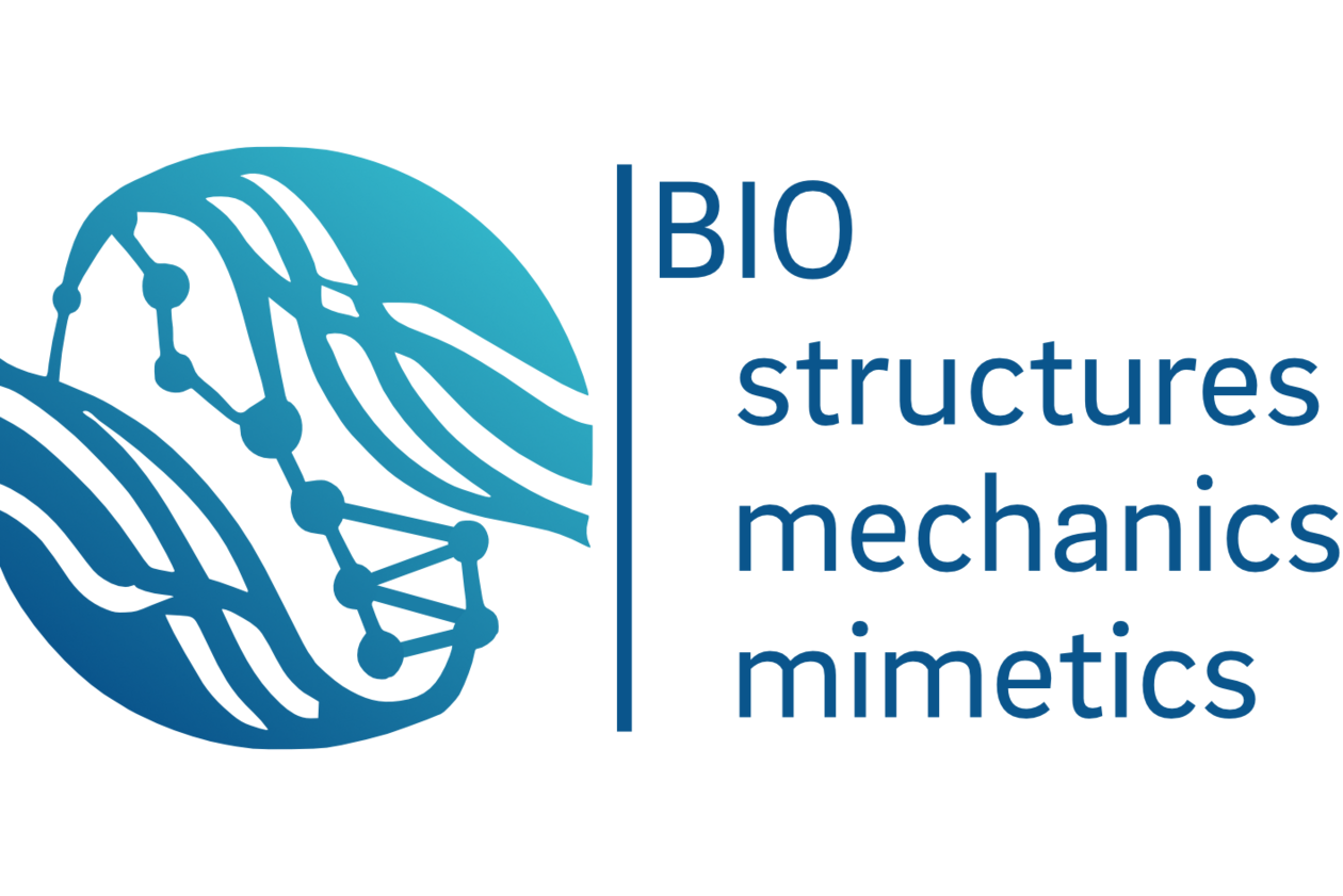 Logo Workgroup Biological Structures and Biomimetics