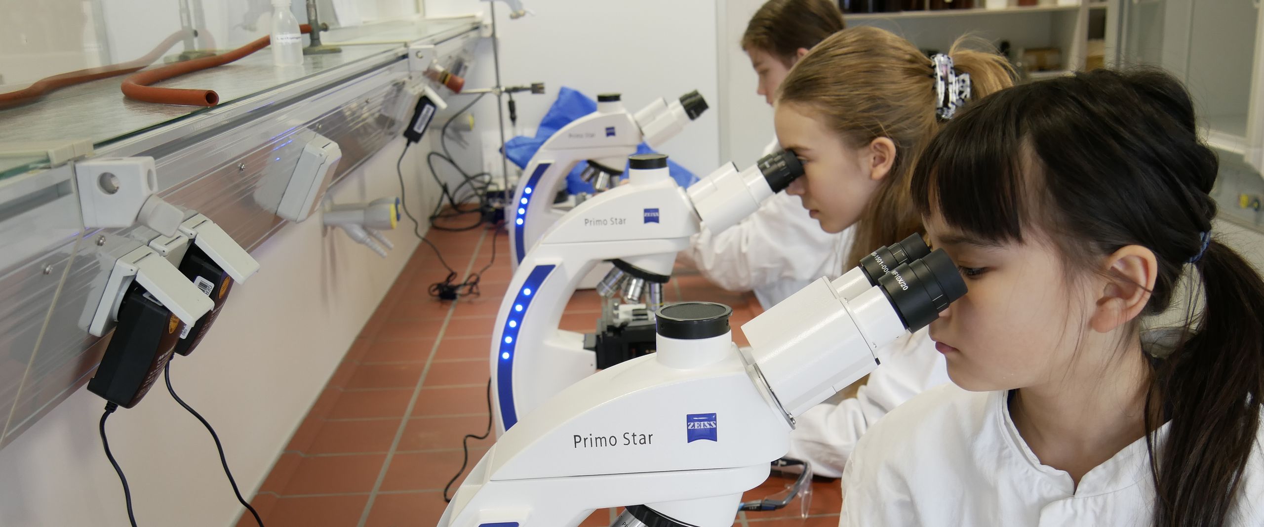 M&auml;dchen sitzen im wei&szlig;en Kittel hintereinander in einem Labor und schauen in ein Mikroskop