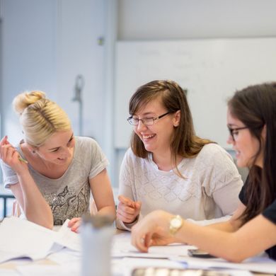 Eine Gruppe Studierender sitzt am Tisch und diskutiert.