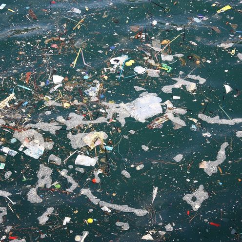 Foto einer Meeresoberfl&auml;che, auf der M&uuml;ll schwimmt