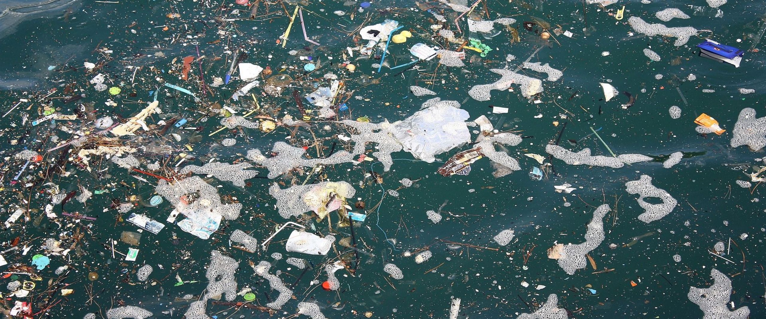 Foto einer Meeresoberfläche, auf der Müll schwimmt