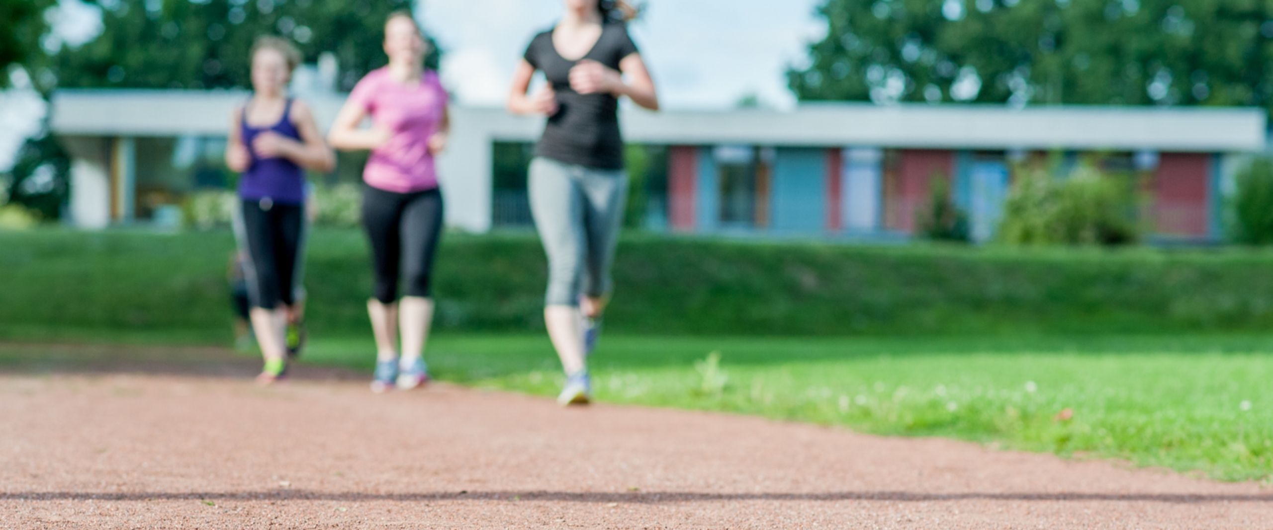 RS4809__DSC642620170704.jpg Eine Personengruppe läuft über Rasen.